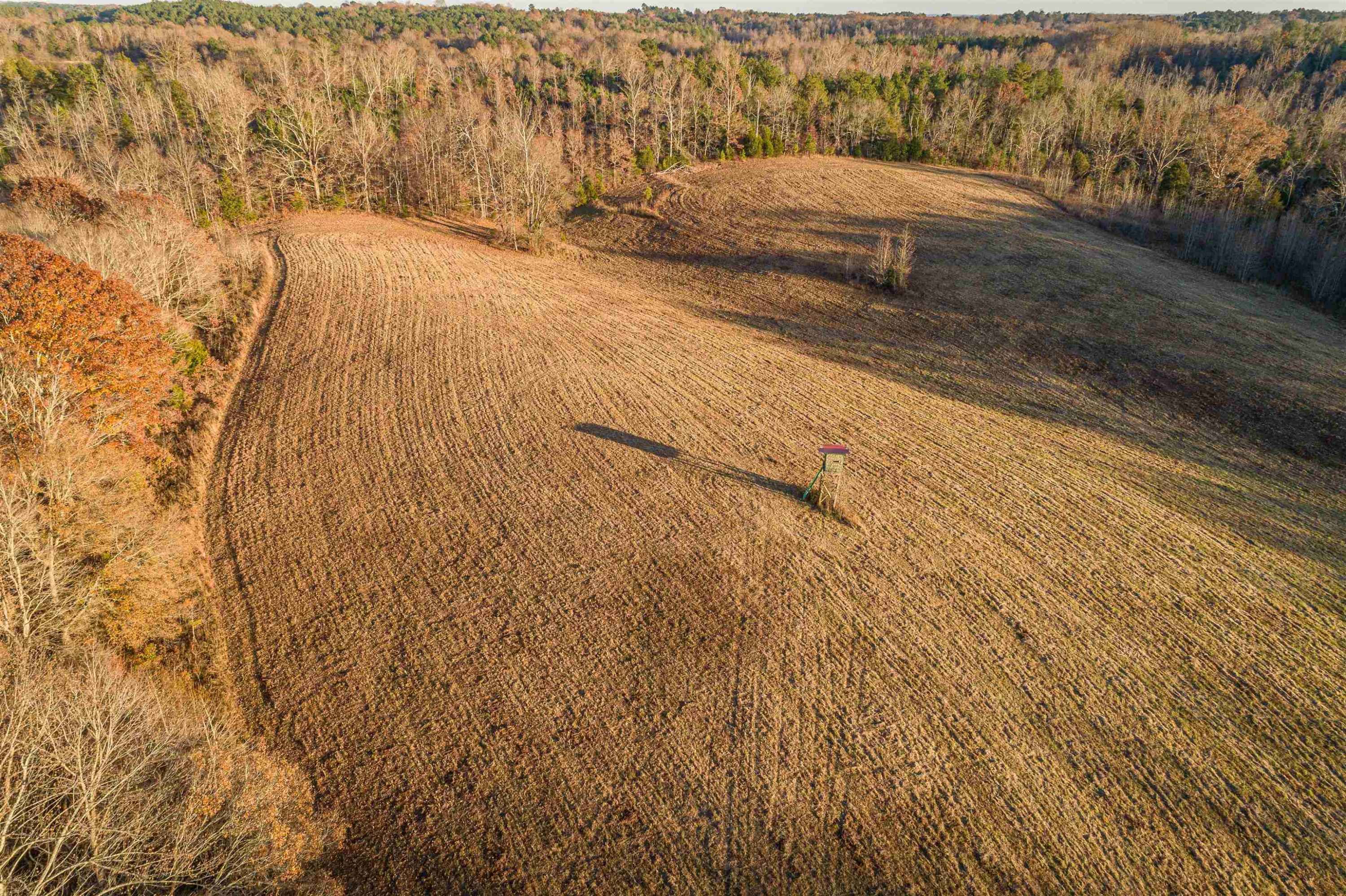 600 Hatchett Road Lexington, TN 38351 - Photo 14 of 24 Photo 14