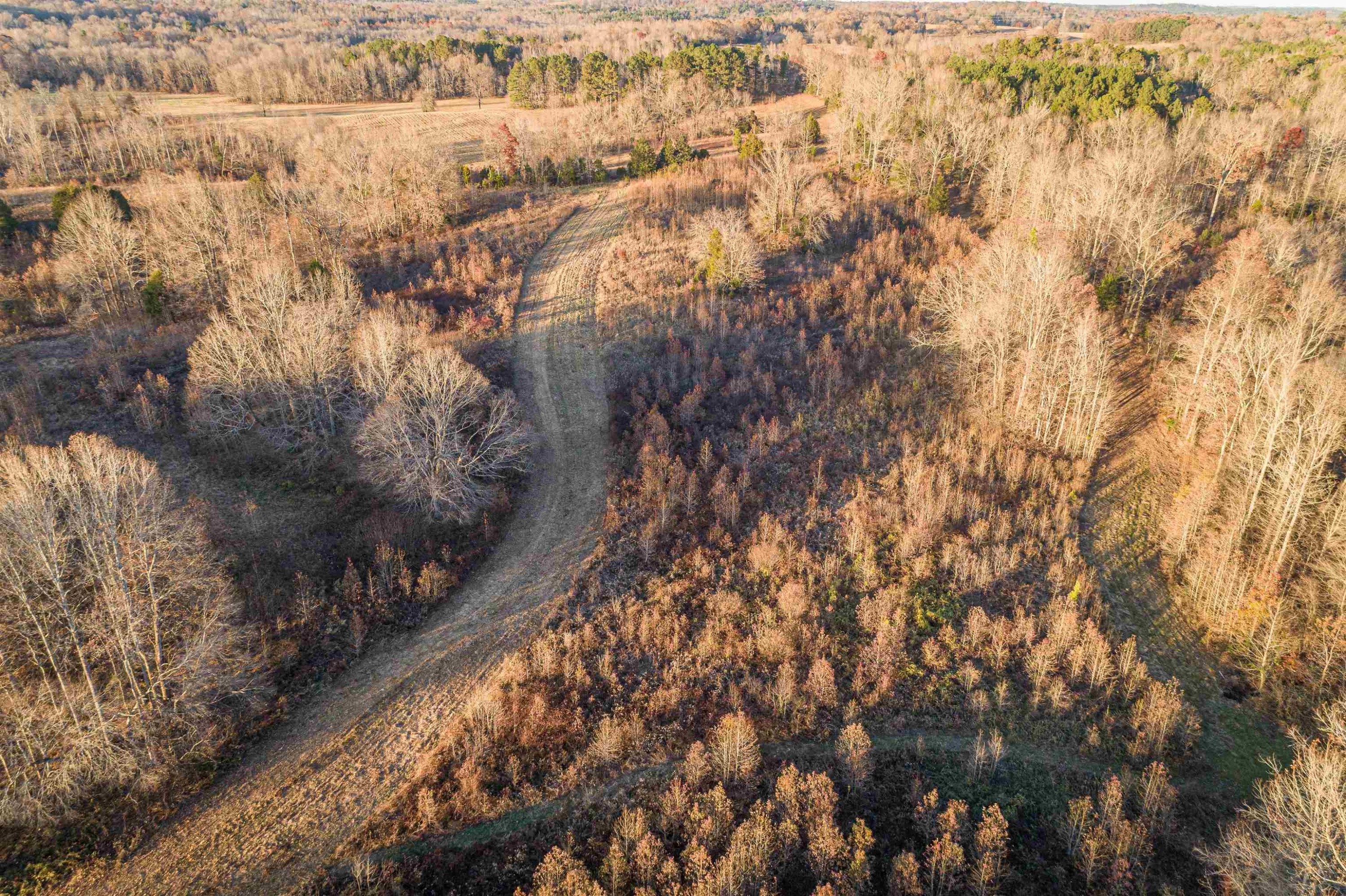 600 Hatchett Road Lexington, TN 38351 - Photo 16 of 24 Photo 16