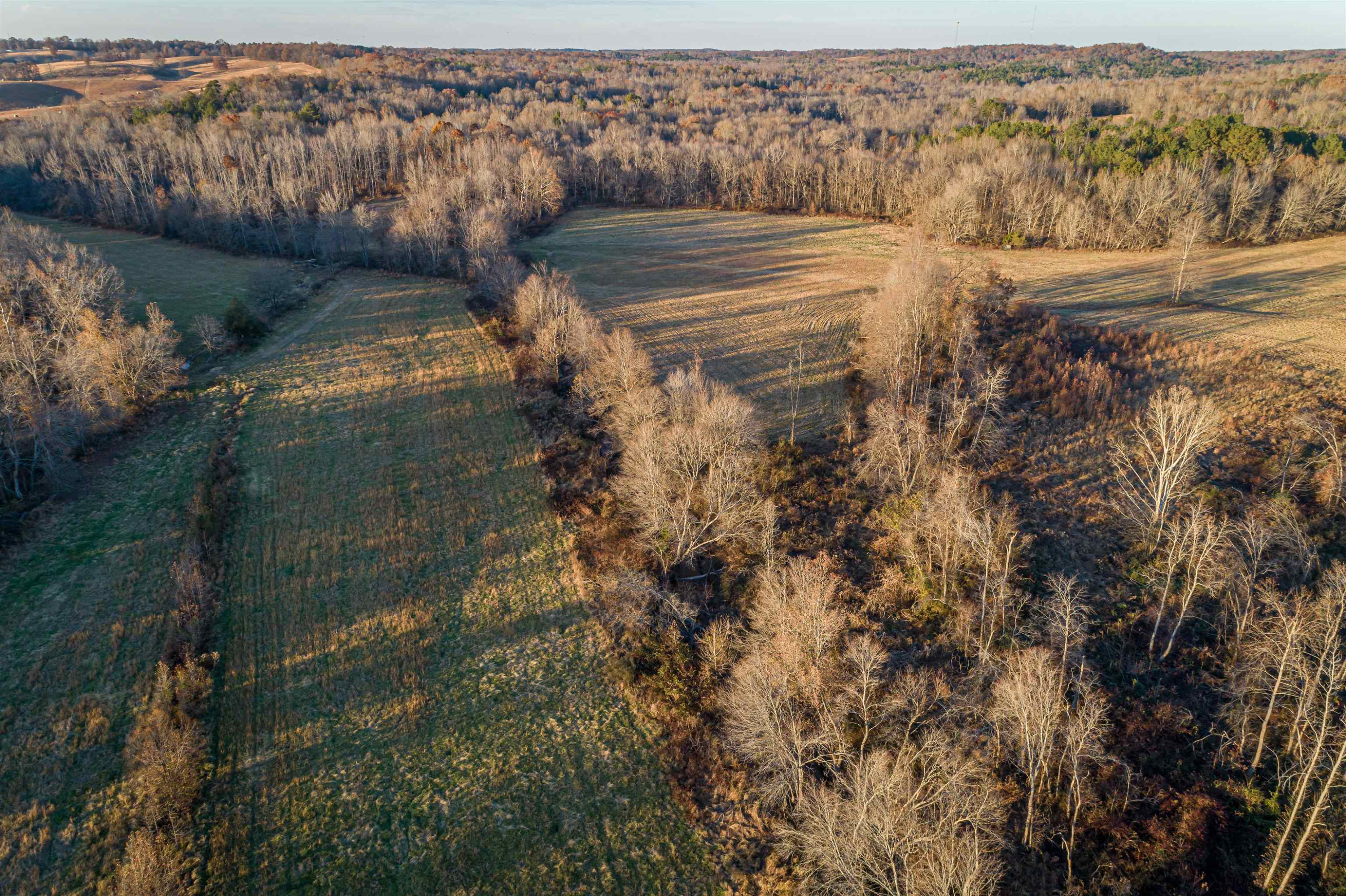 600 Hatchett Road Lexington, TN 38351 - Photo 18 of 24 Photo 18