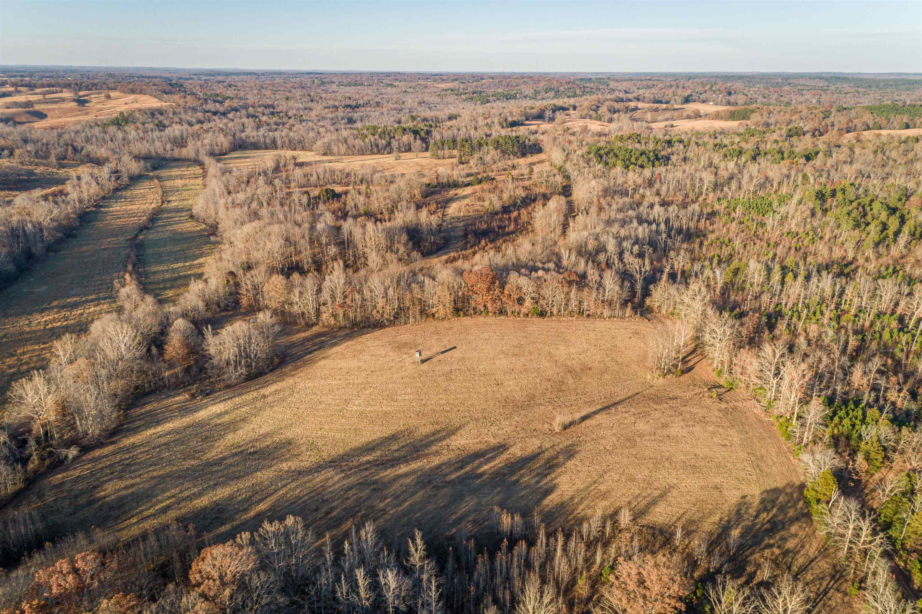 600 Hatchett Road Lexington, TN 38351 - Photo 4 of 24 Photo 4