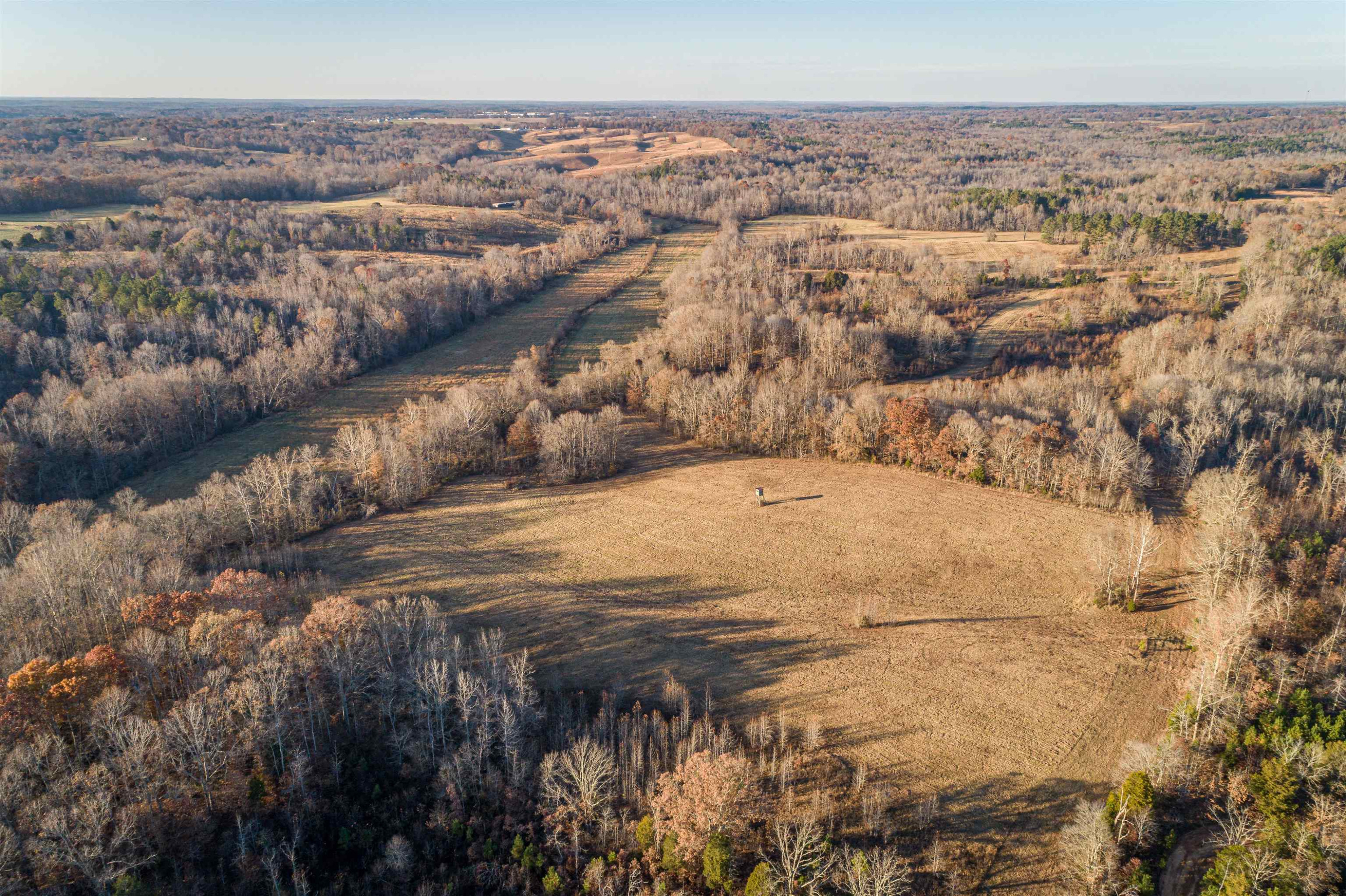 600 Hatchett Road Lexington, TN 38351 - Photo 6 of 24 Photo 6
