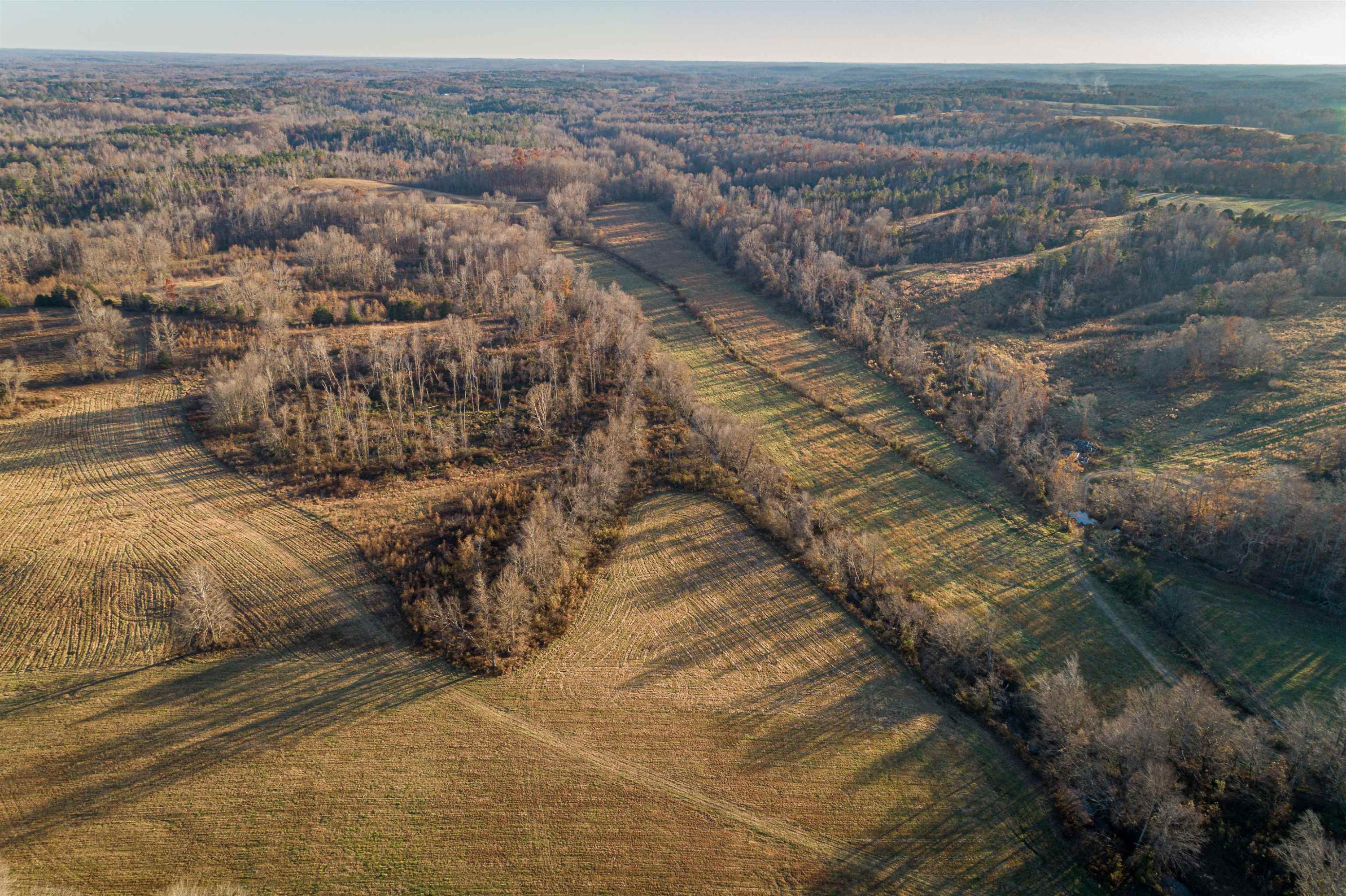 600 Hatchett Road Lexington, TN 38351 - Photo 7 of 24 Photo 7