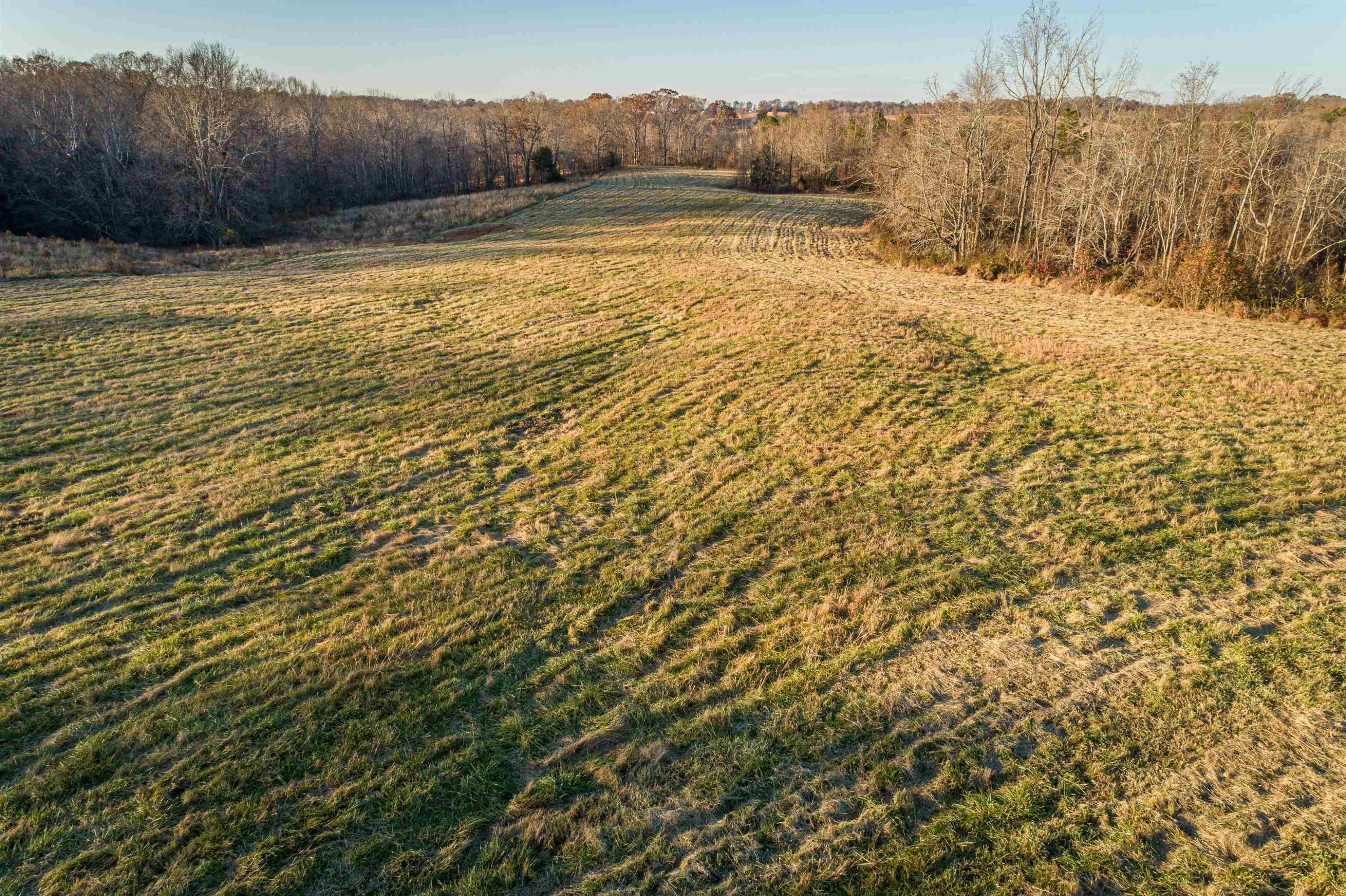 600 Hatchett Road Lexington, TN 38351 - Photo 8 of 24 Photo 8