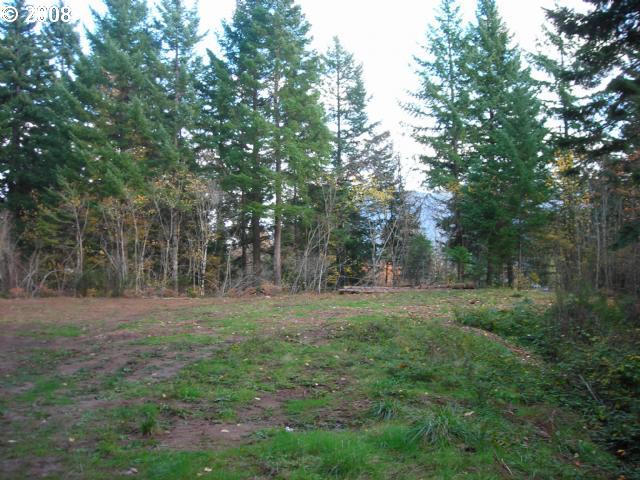 500 Frank Johns Road Stevenson, WA 98648 - Photo 7 of 10 Gallery Image 7