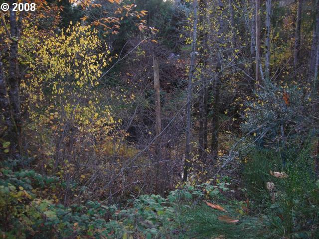 500 Frank Johns Road Stevenson, WA 98648 - Photo 8 of 10 Gallery Image 8