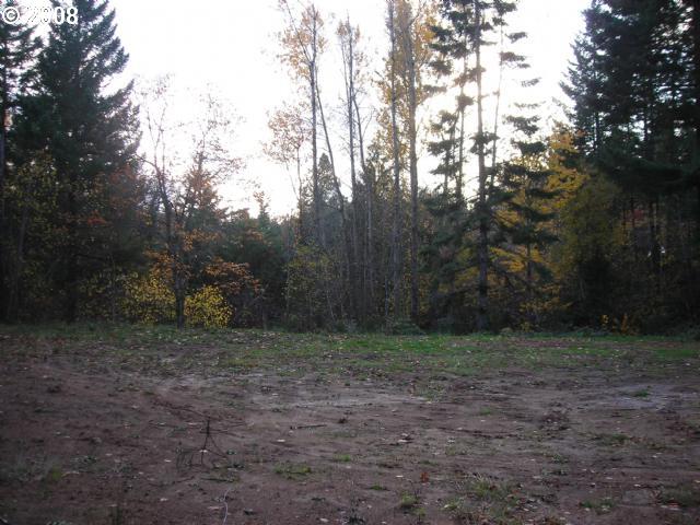 500 Frank Johns Road Stevenson, WA 98648 - Photo 9 of 10 Gallery Image 9