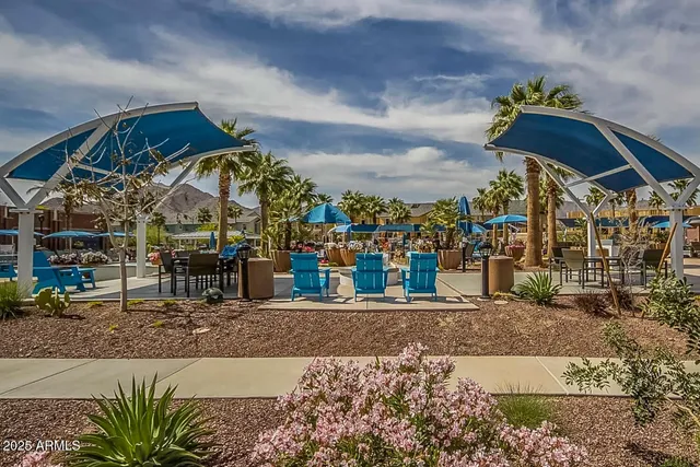 a garden view with palm trees