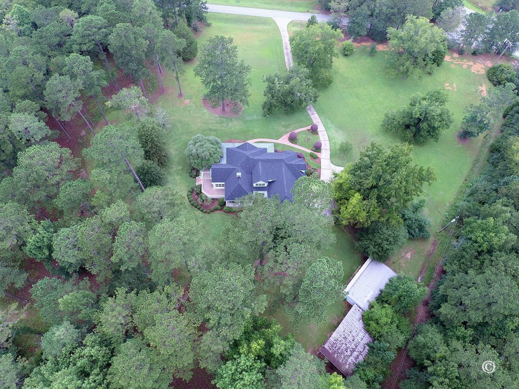 8500 Mehaffey Road Midland, GA 31820 - Photo 54 of 58 Aerial