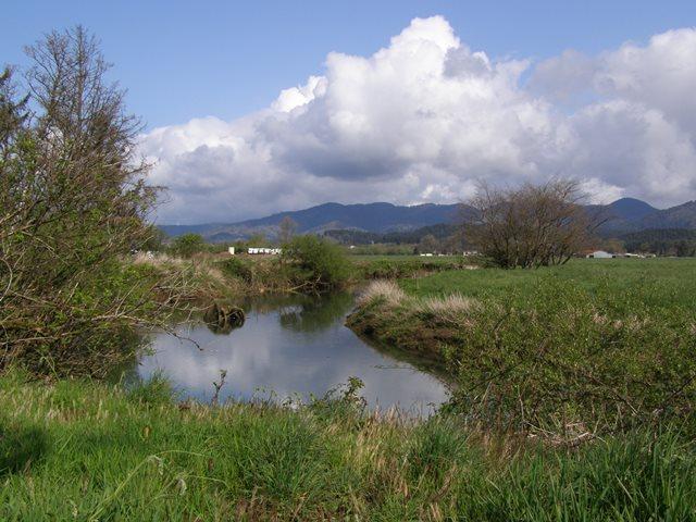 Vl Hadley Road North Tillamook, OR 97141 - Photo 18 of 18 Slough3.JPG