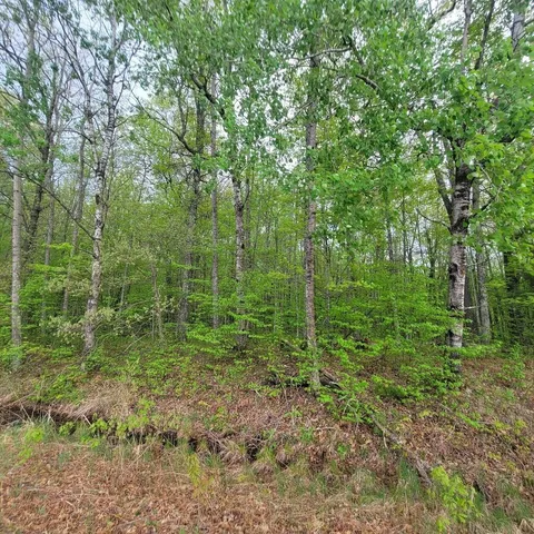 $34,900 | Lot 10 County Road A, Spooner, WI 54801