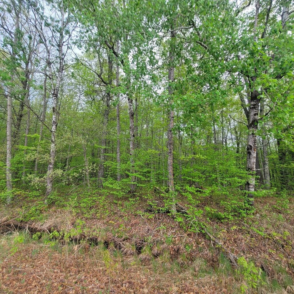 Lot 10 County Road A Spooner, WI 54801 - Photo 2 of 8