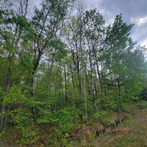 $33,500 | Lot 10 County Road A, Spooner, WI 54801
