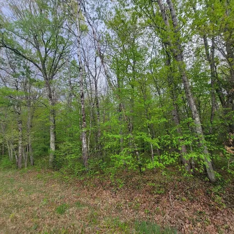 $34,900 | Lot 10 County Road A, Spooner, WI 54801