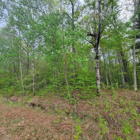 $34,900 | Lot 10 County Road A, Spooner, WI 54801
