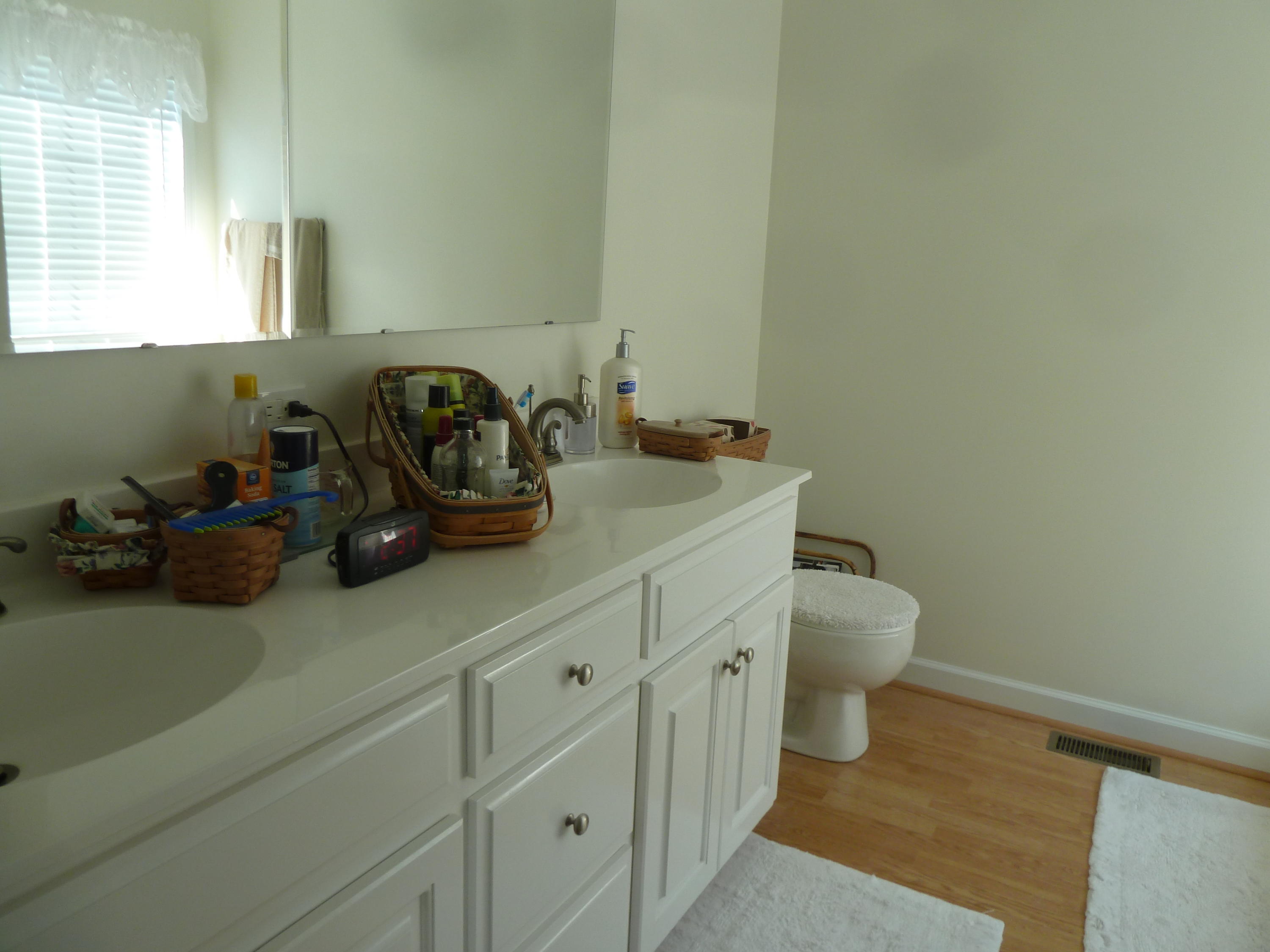 1145 Alean Road Wirtz, VA 24184 - Photo 15 of 66 15 Master Bath.JPG