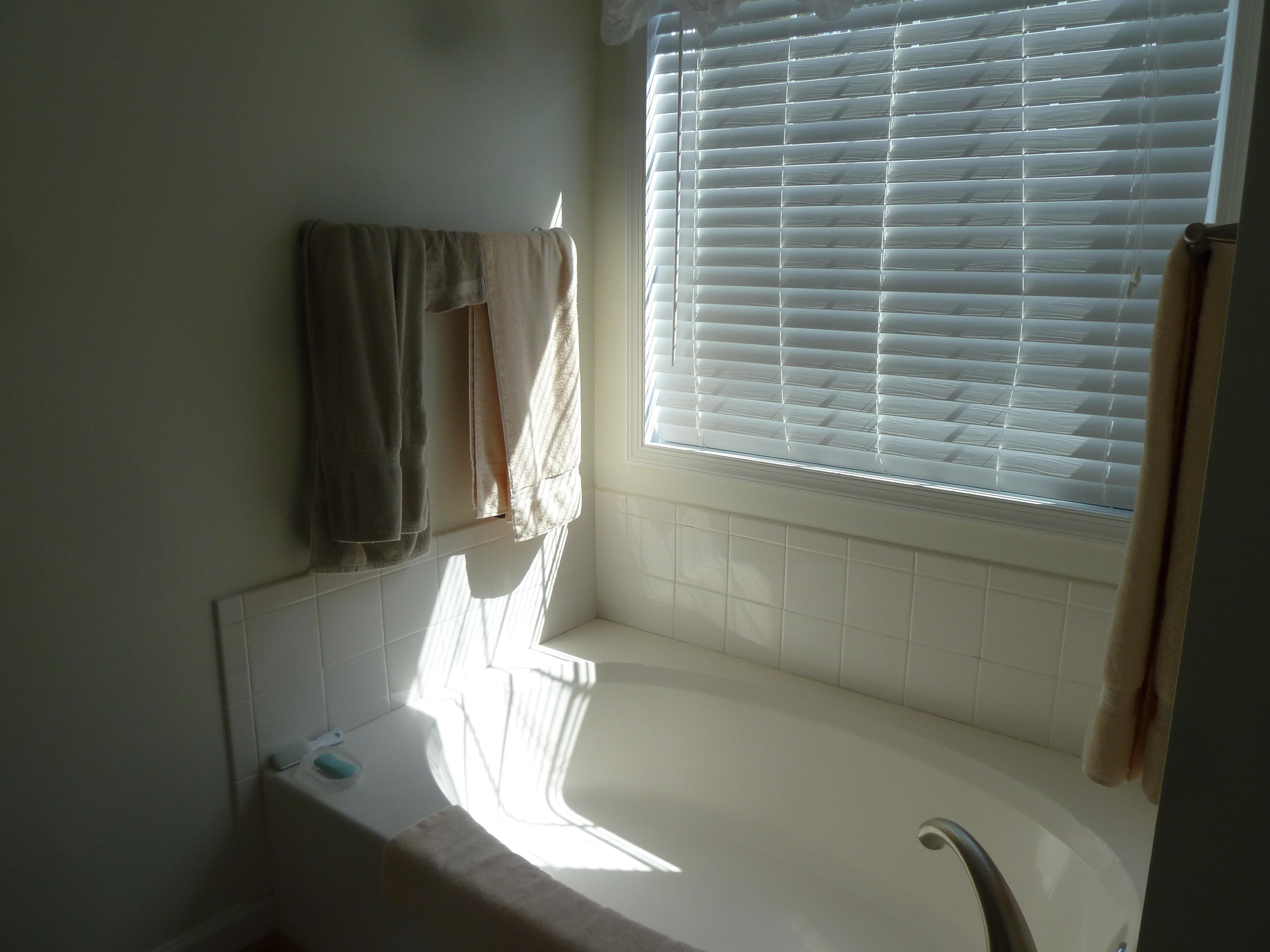 1145 Alean Road Wirtz, VA 24184 - Photo 16 of 66 16 Master Bath.JPG