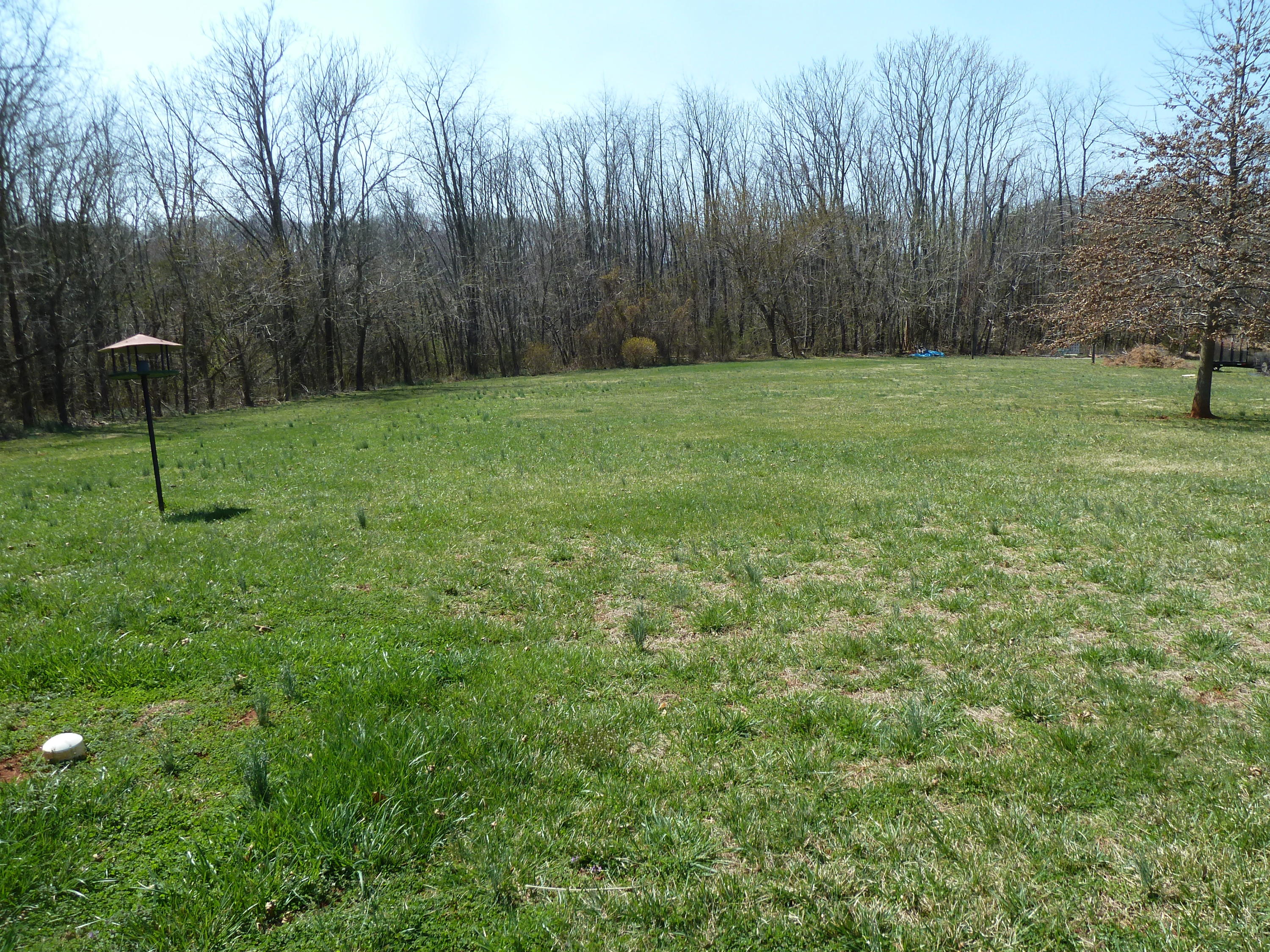 1145 Alean Road Wirtz, VA 24184 - Photo 26 of 66 27 Yard.JPG