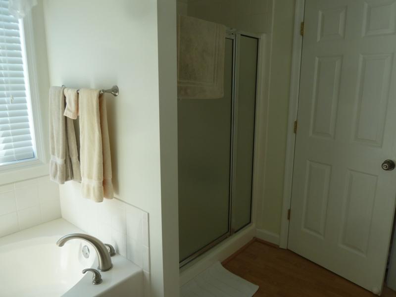 1145 Alean Road Wirtz, VA 24184 - Photo 58 of 66 57 Master Bath.JPG
