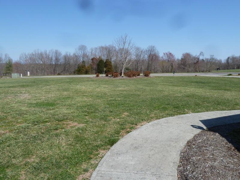 1145 Alean Road Wirtz, VA 24184 - Photo 61 of 66 60 Front Yard.JPG