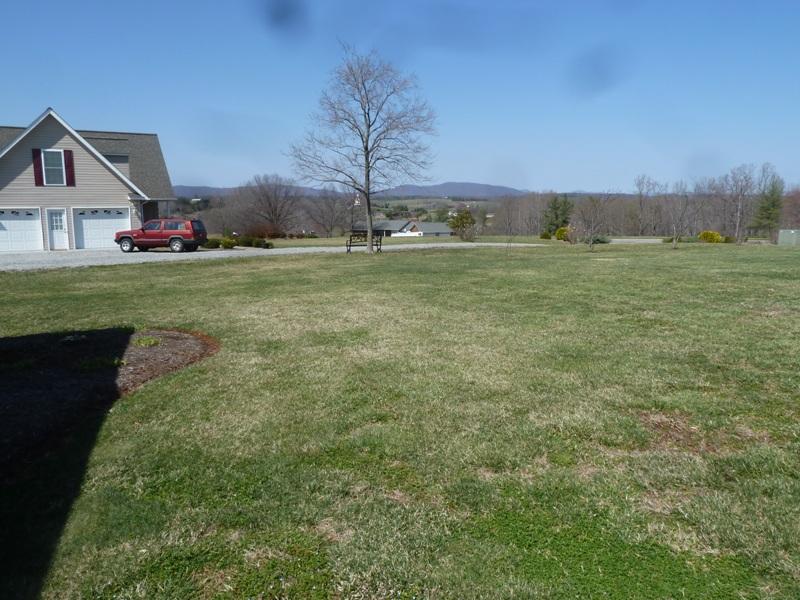 1145 Alean Road Wirtz, VA 24184 - Photo 62 of 66 61 Front Yard.JPG