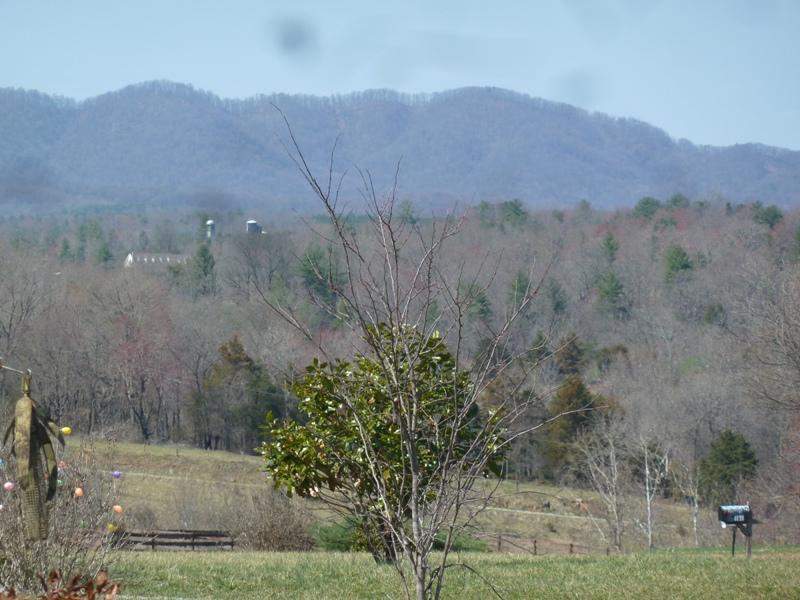 1145 Alean Road Wirtz, VA 24184 - Photo 65 of 66 64 Views.JPG