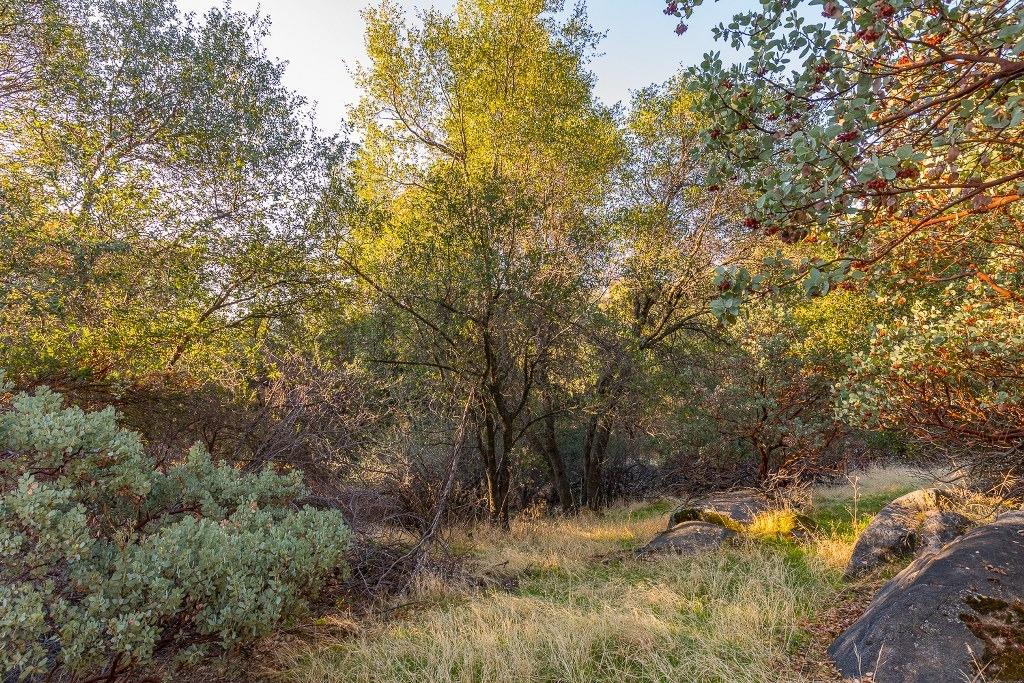 51737 Quail Ridge Road Oakhurst, CA 93644 - Photo 54 of 61 Gallery Image 54