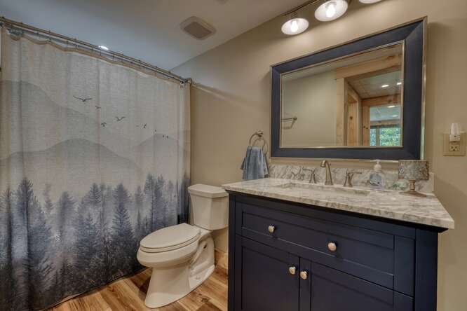 87 Harbin Court Morganton, GA 30560 - Photo 39 of 63 a bathroom with a granite countertop sink a toilet and a mirror