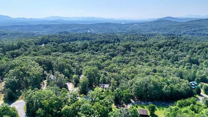 87 Harbin Court Morganton, GA 30560 - Photo 58 of 63 an aerial view of a forest