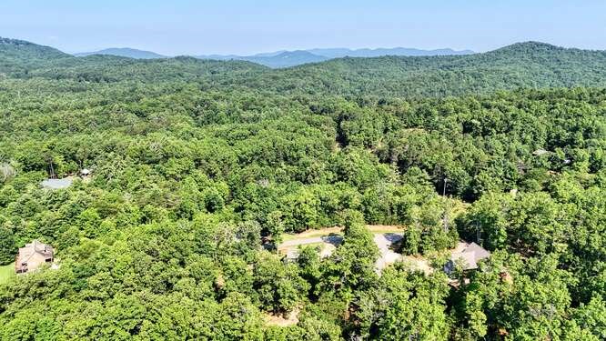 87 Harbin Court Morganton, GA 30560 - Photo 60 of 63 a view of a lush green forest with a house