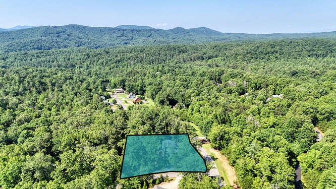 87 Harbin Court Morganton, GA 30560 - Photo 62 of 63 a view of a lush green forest with a house