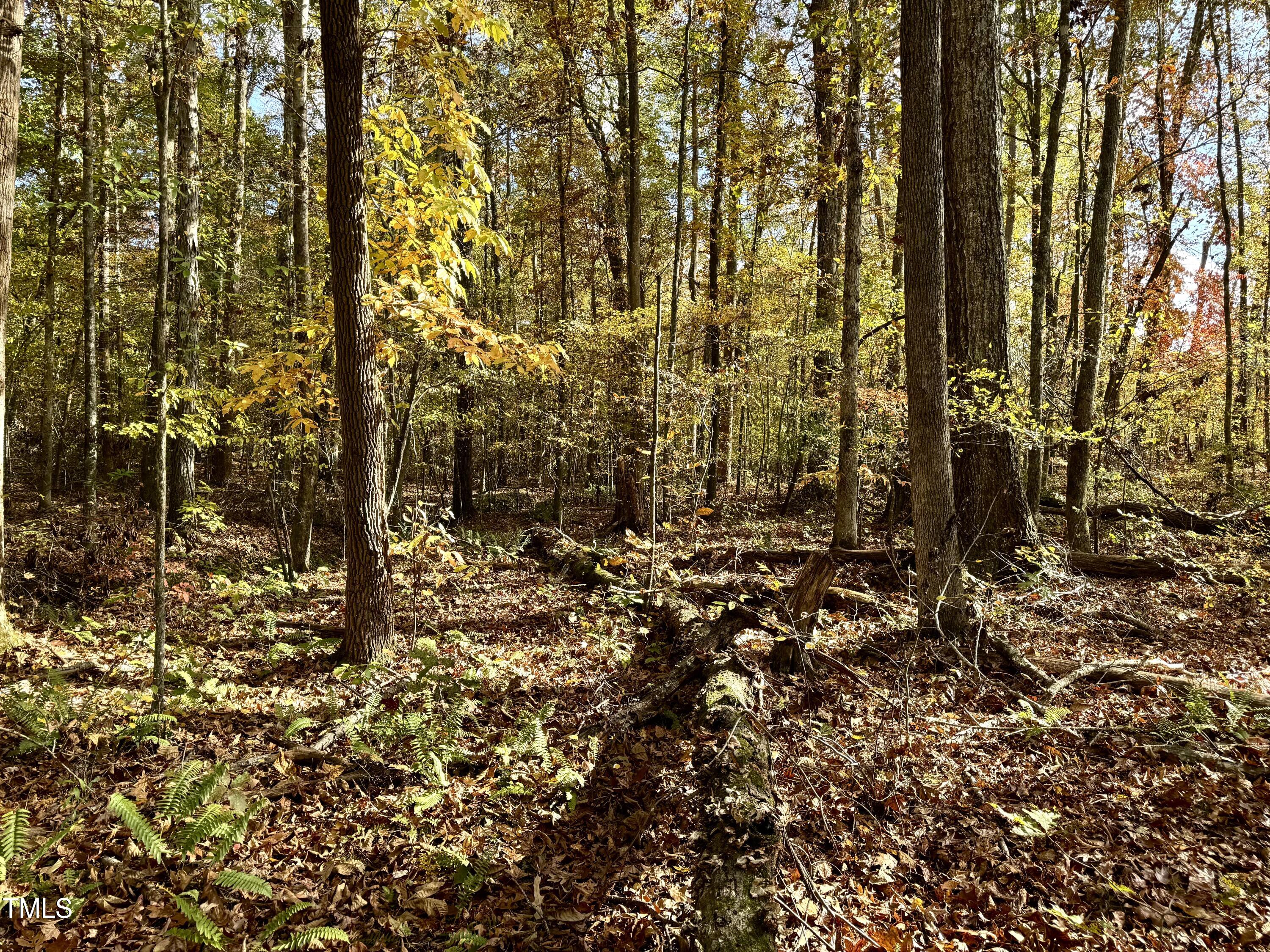Lot 14 Hunters Circle Rougemont, NC 27572 - Photo 2 of 9 IMG_4019 2