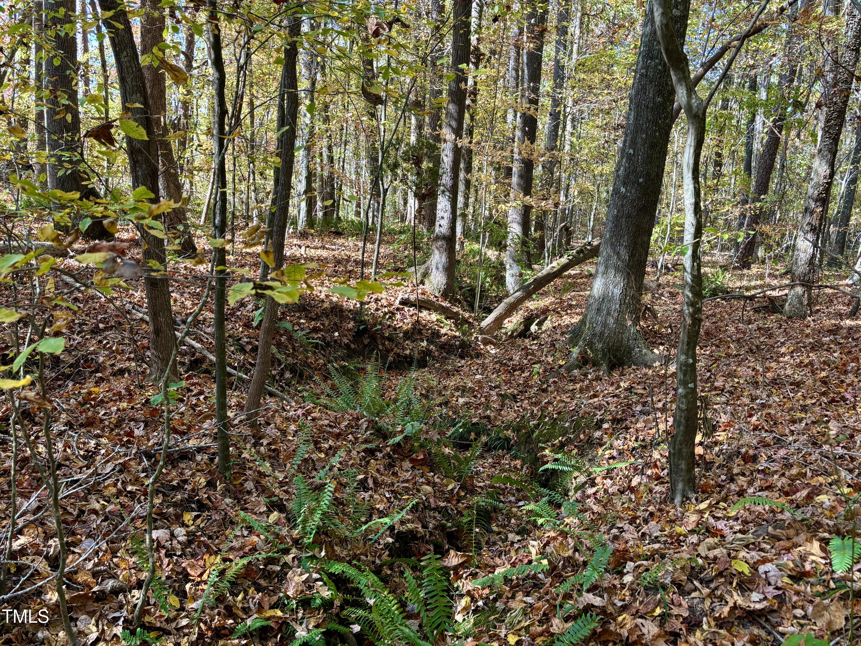 Lot 14 Hunters Circle Rougemont, NC 27572 - Photo 3 of 9 IMG_0021 3