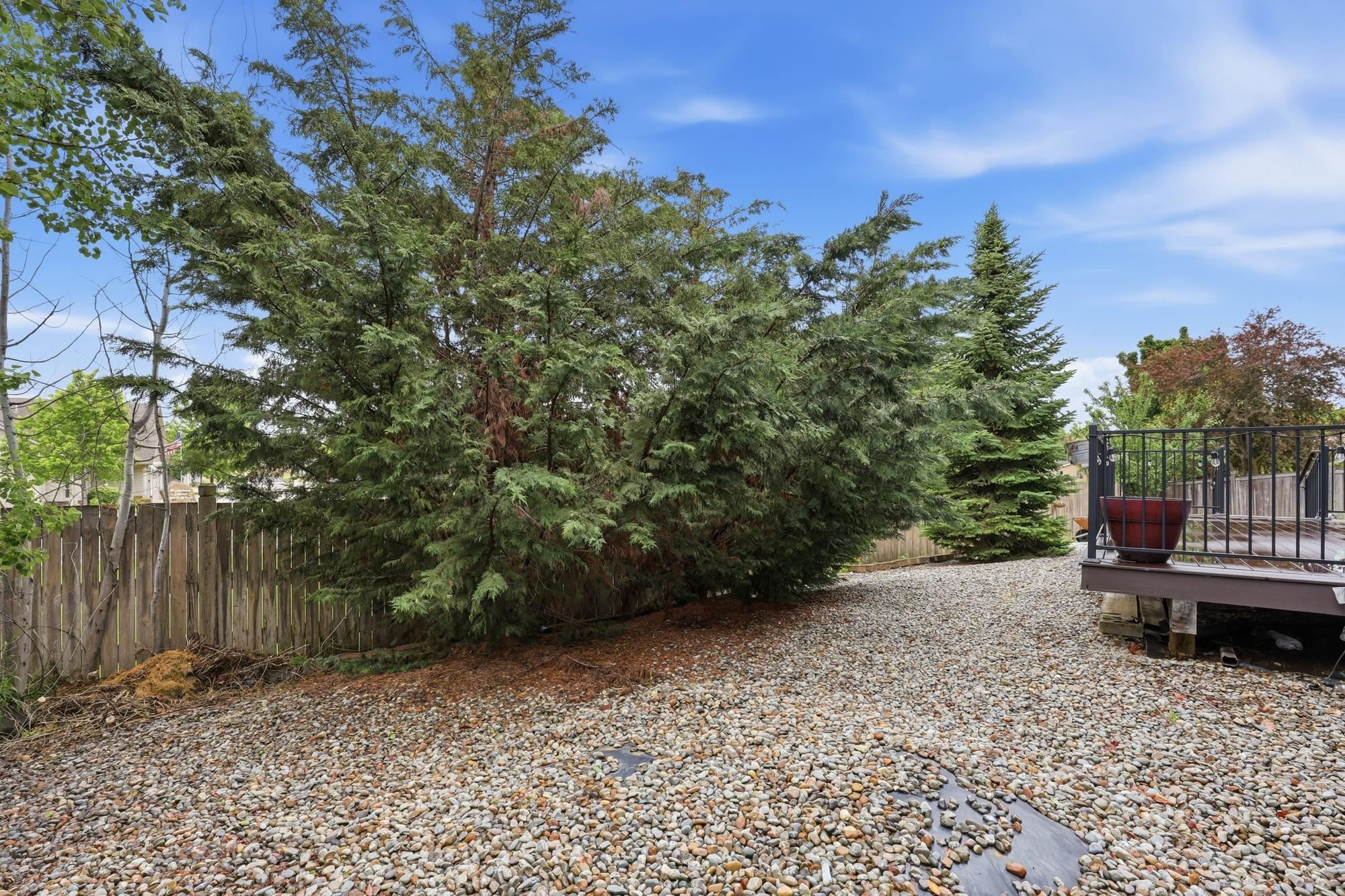 2315 Lilac Street Cheney, WA 99004 - Photo 28 of 35