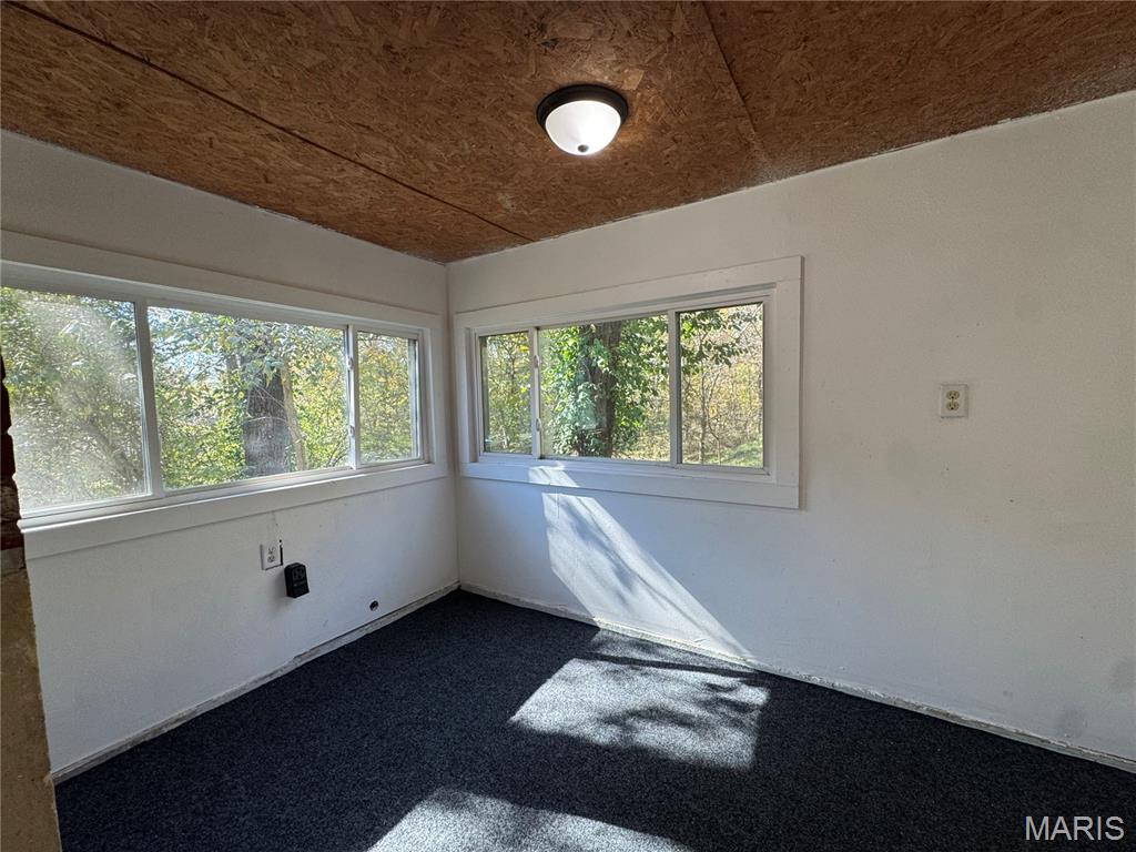 1009 Ripley 21-N Doniphan, MO 63935 - Photo 15 of 24