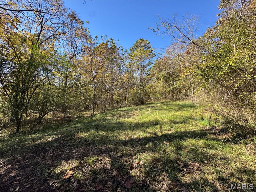 1009 Ripley 21-N Doniphan, MO 63935 - Photo 20 of 24