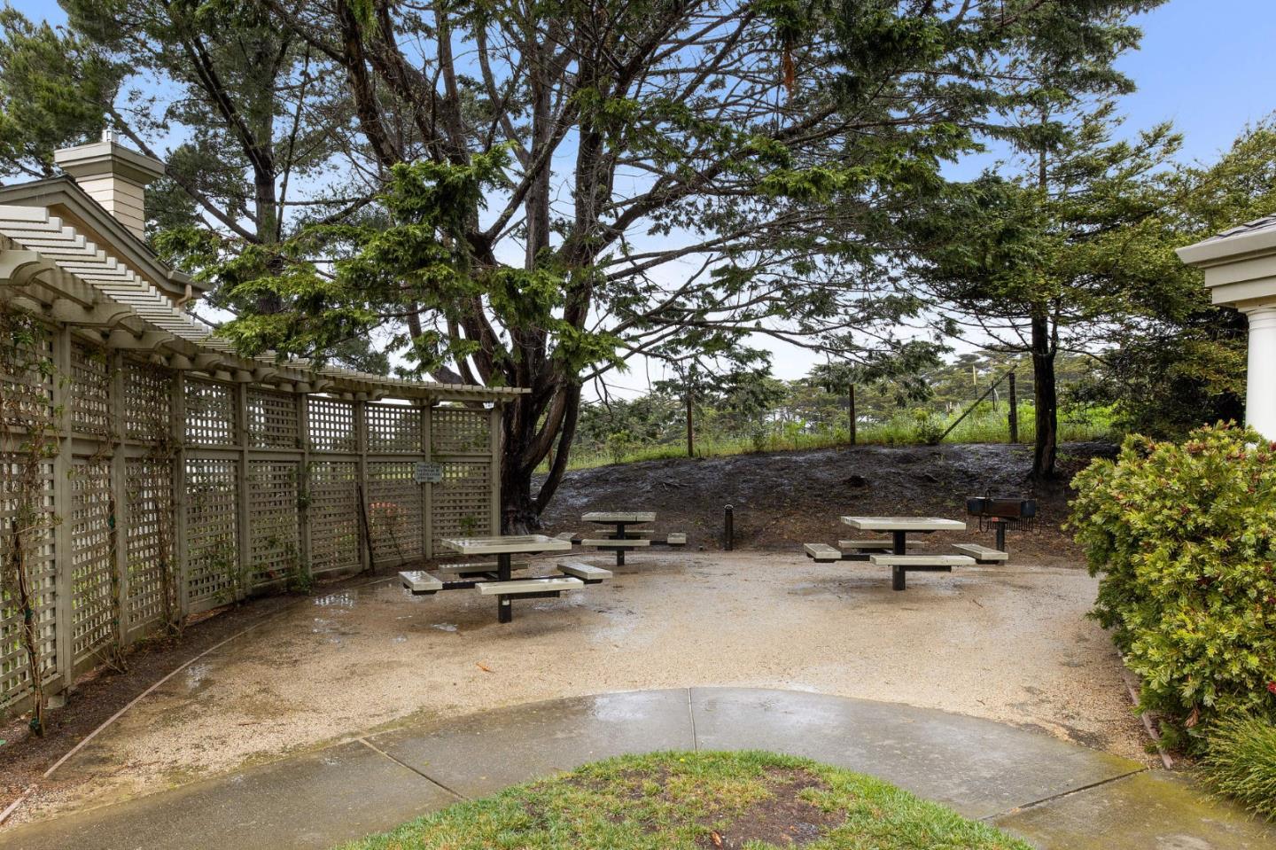 6 Patrick Way Half Moon Bay, CA 94019 - Photo 26 of 28 a view of a park with large trees