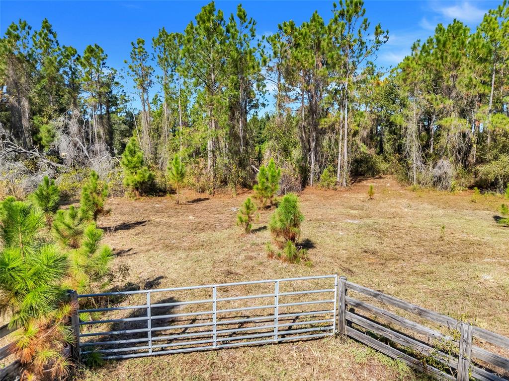 Youth Camp Road Groveland, FL 34736 - Photo 5 of 14 a view of a backyard of the house