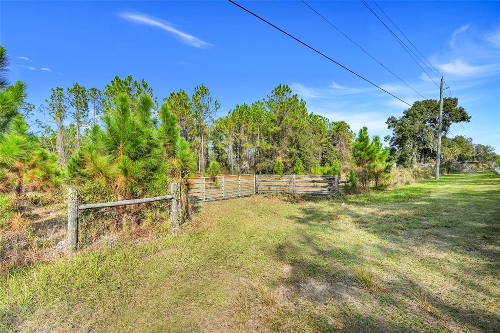 Youth Camp Road Groveland, FL 34736 - Photo 8 of 14 a view of a yard with an tree