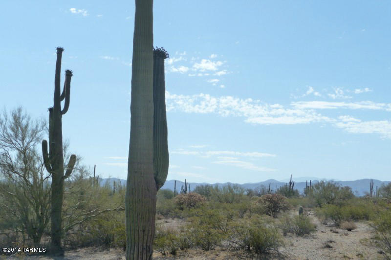 South Cattle Tank Road, Unit (40 AC) Marana, AZ 85658 - Photo 24 of 27 Gallery Image 24