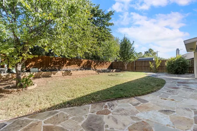 a view of a yard with plants and trees