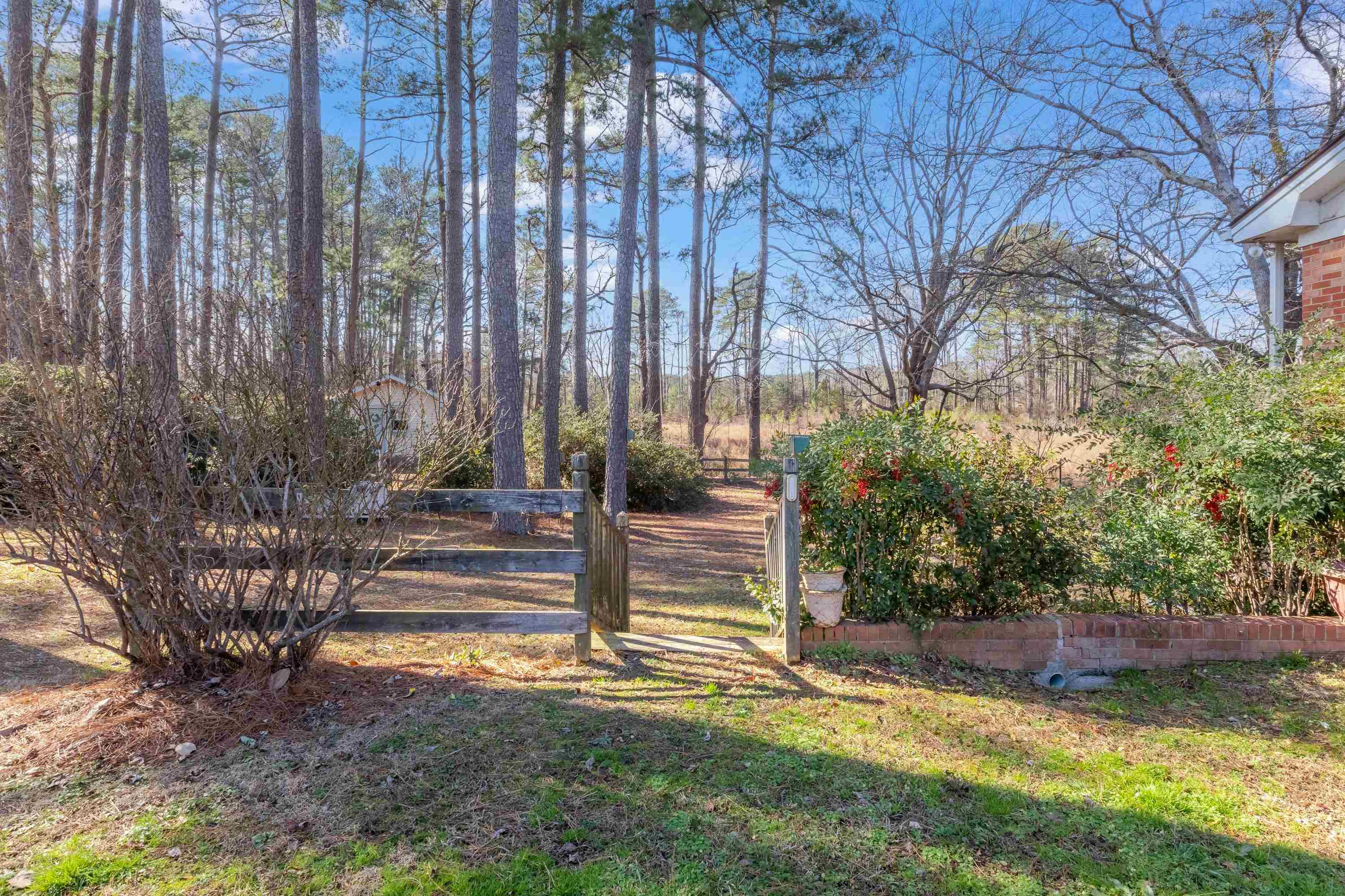 4612 Browns Pond Road Selma, NC 27576 - Photo 45 of 50 a view of a backyard with plants and large trees