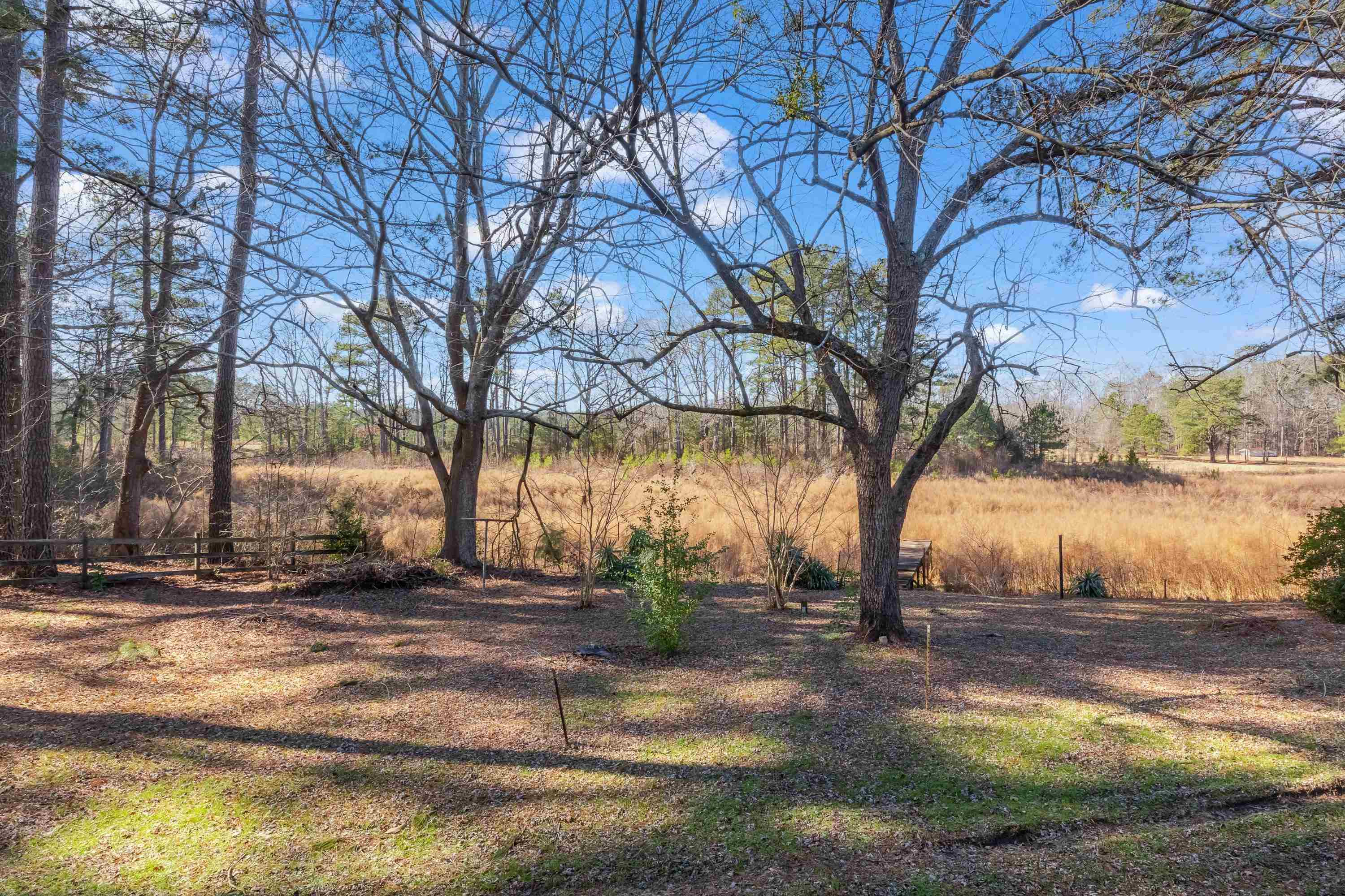 4612 Browns Pond Road Selma, NC 27576 - Photo 49 of 50 a view of yard with tree