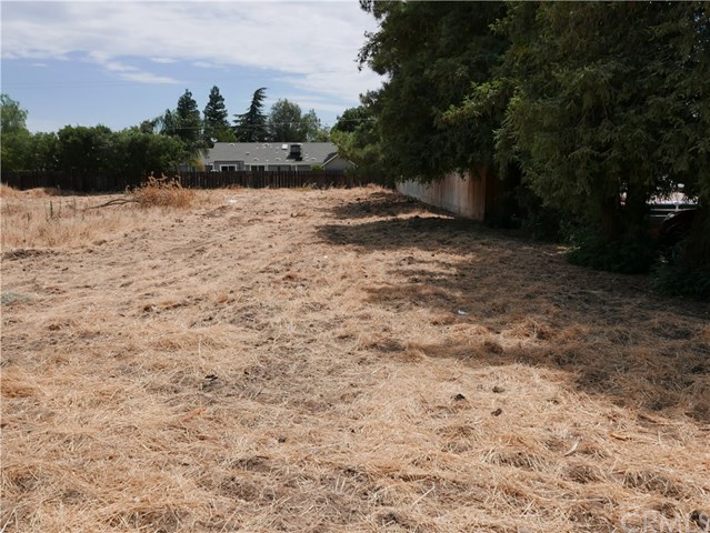 0 El Paso Road Madera, CA 93638 - Photo 2 of 4 Gallery Image 2