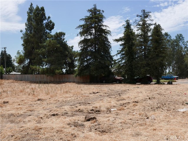 0 El Paso Road Madera, CA 93638 - Photo 4 of 4 Gallery Image 4