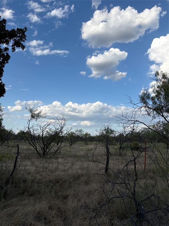 271 Wyatt Road Jacksboro, TX 76458 - Photo 18 of 40 Expansive open land featuring natural vegetation and a clear sky with clouds