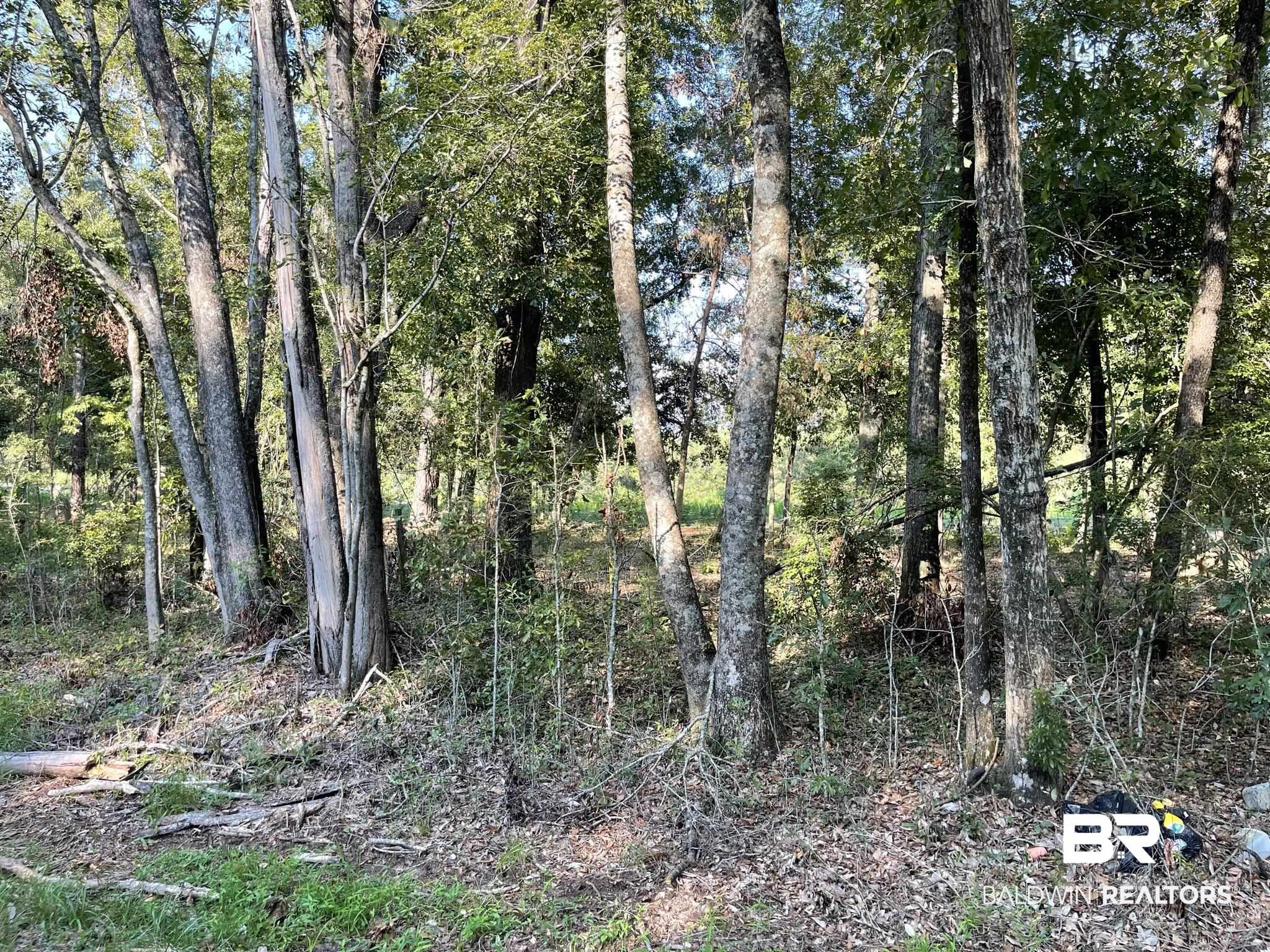 0 Rockhill Road Bay Minette, AL 36507 - Photo 22 of 32