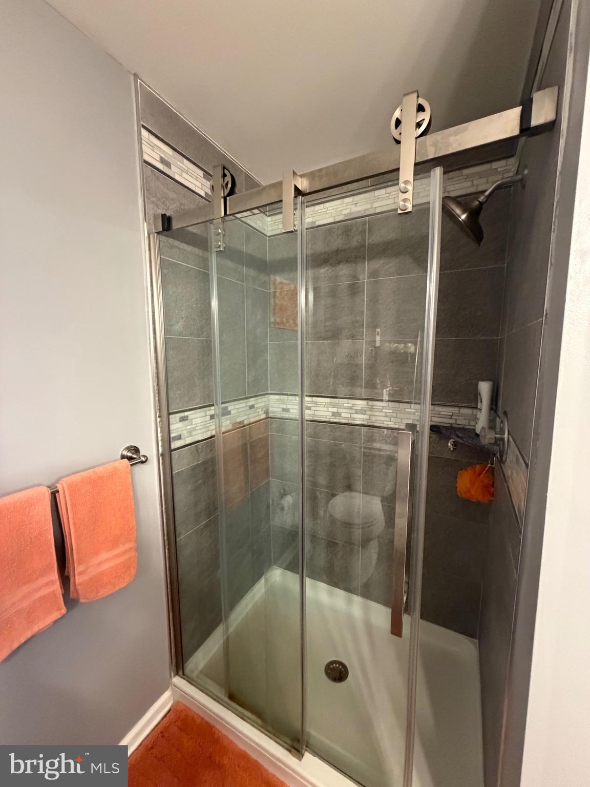 809 Willings Way New Castle, DE 19720 - Photo 31 of 50 Ceramic Shower in Main Bathroom