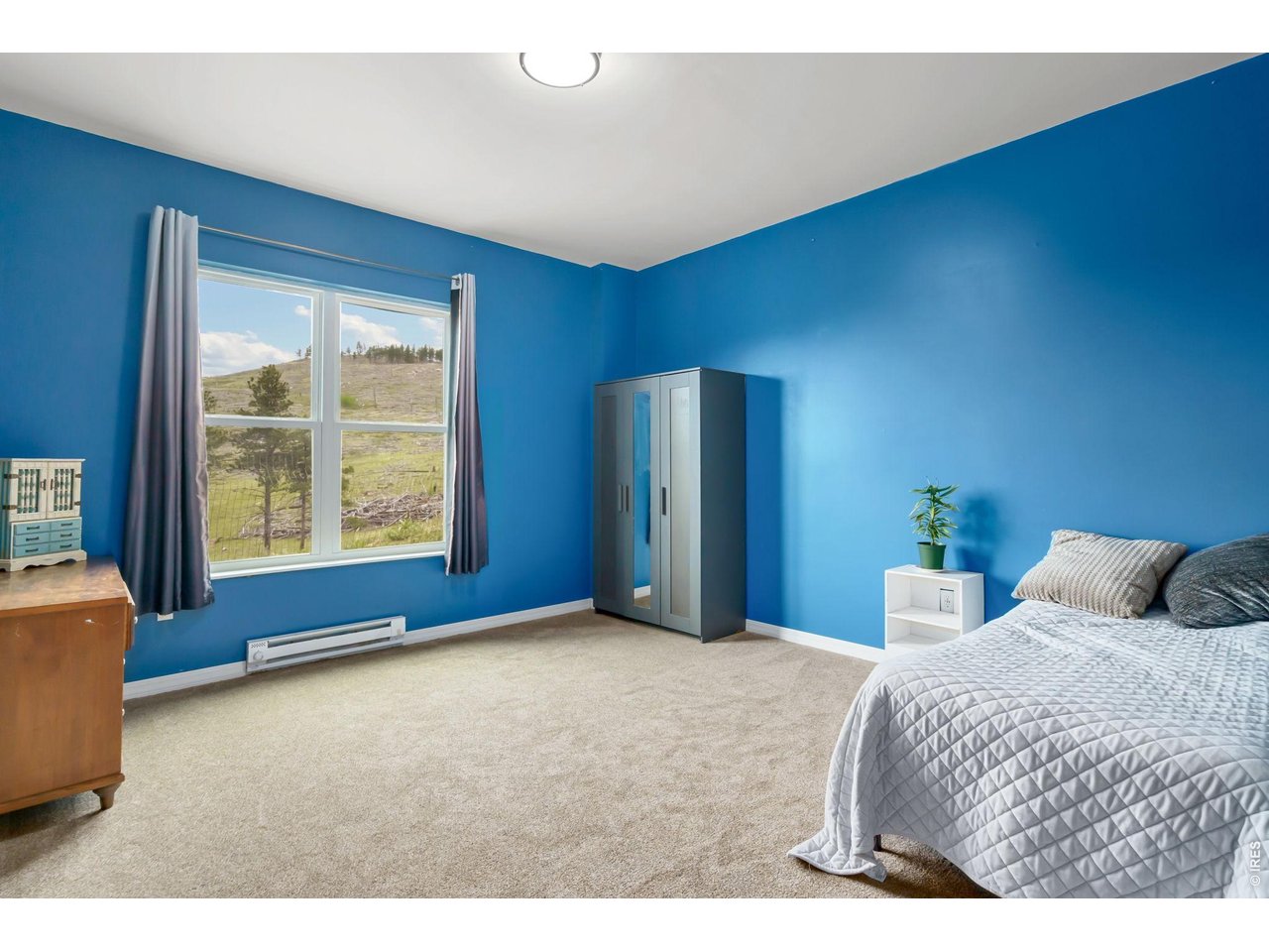 2051 Stove Prairie Road Bellvue, CO 80512 - Photo 35 of 50 Downstairs bedroom #2
