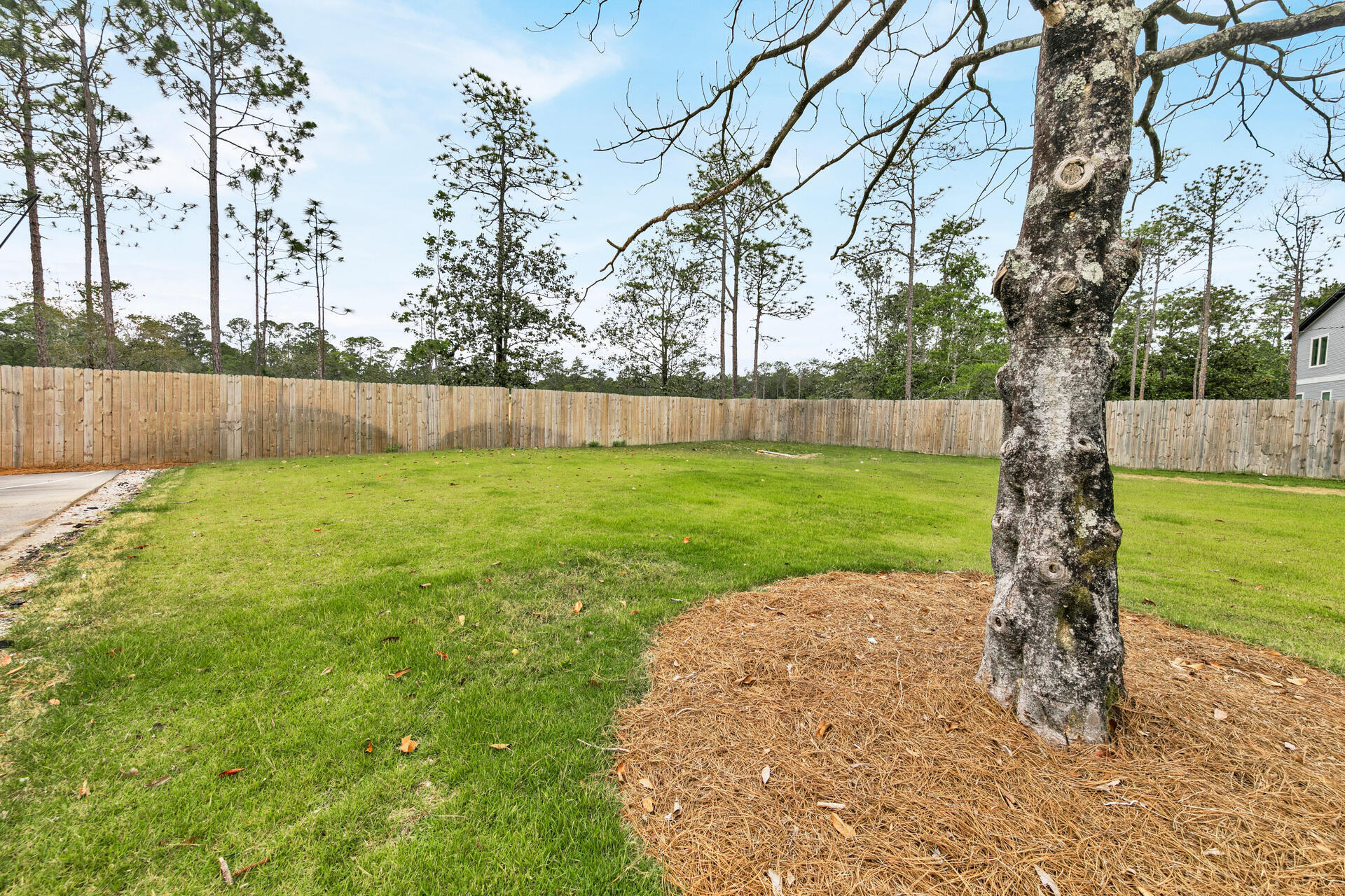 617 Churchill Bayou Road Santa Rosa Beach, FL 32459 - Photo 49 of 67 a view of a backyard with large trees