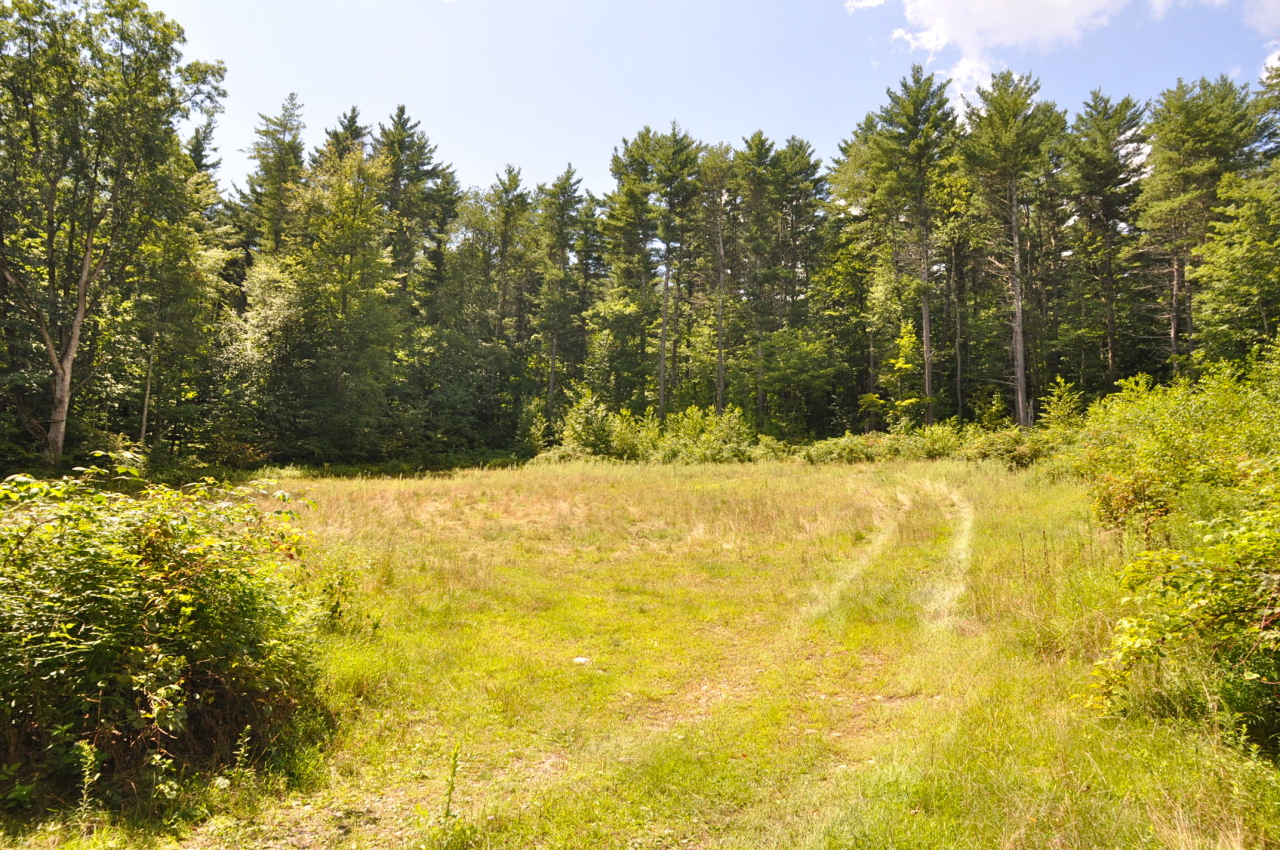 235 Monument Valley Road Great Barrington, MA 01230 - Photo 1 of 21 CLEARED OPENING